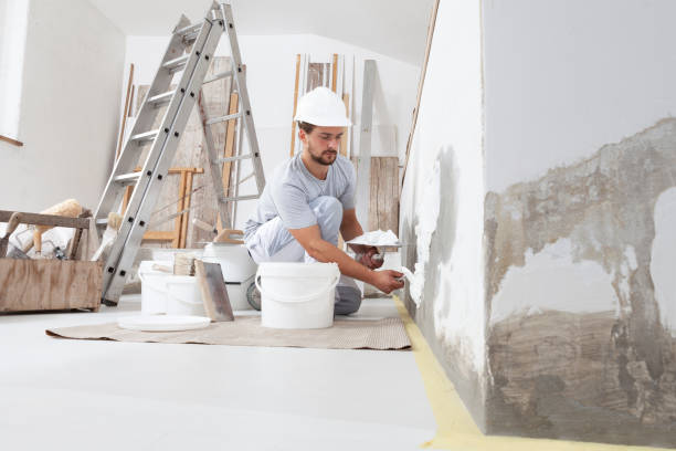 Best Environmental Consulting for Mold Prevention  in Fitchburg, WI