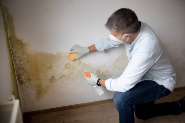  Fitchburg, WI Mold Removal Pros