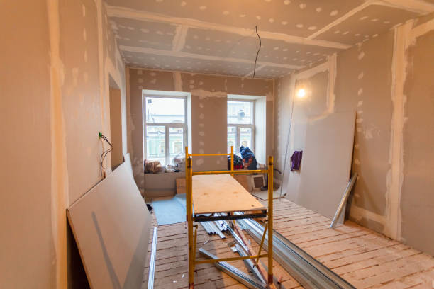 Best Basement Mold Removal  in Fitchburg, WI