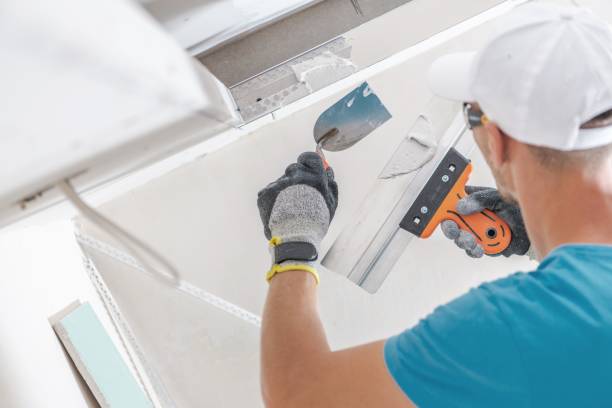 Best Comprehensive Air Testing for Mold Contaminants  in Fitchburg, WI